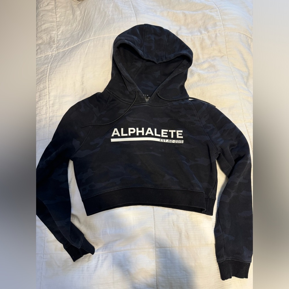 Alphalete crop hoodie